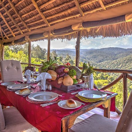 קראטו Ngorongoro Forest Tented Lodge מראה חיצוני תמונה